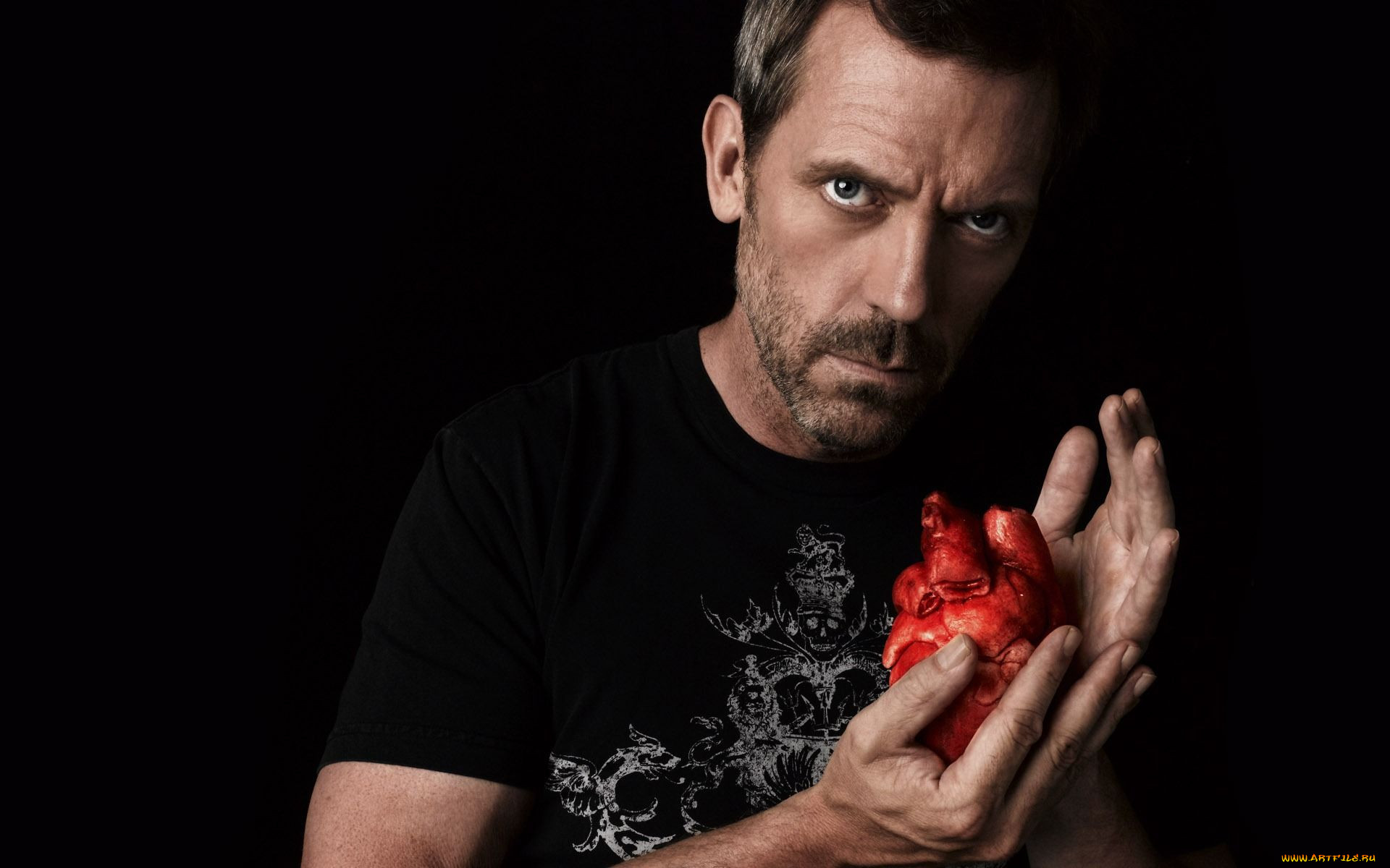 house, , 